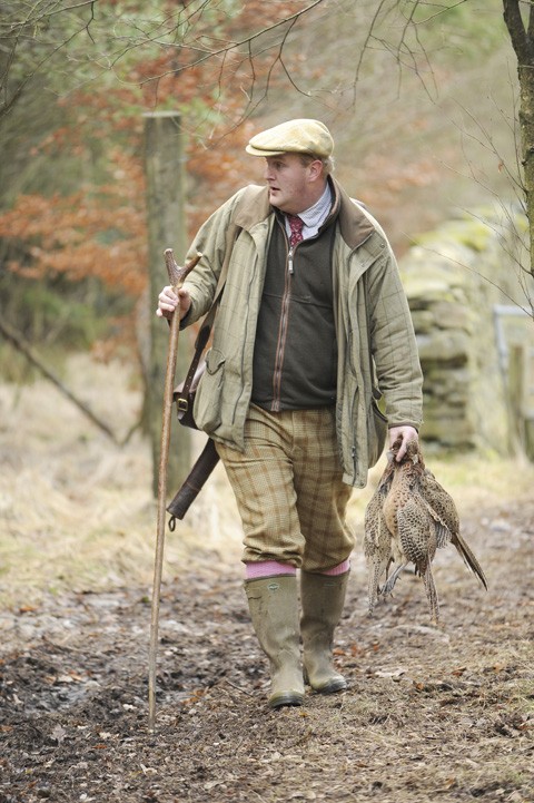 Pheasant shooting Underley Cumbria