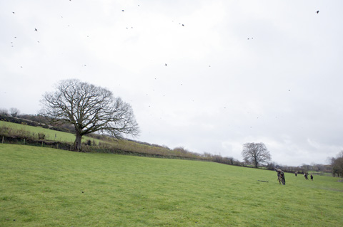 West Molland larger