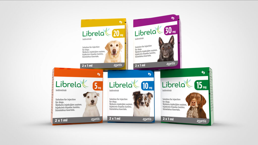 injection for arthritic dogs 