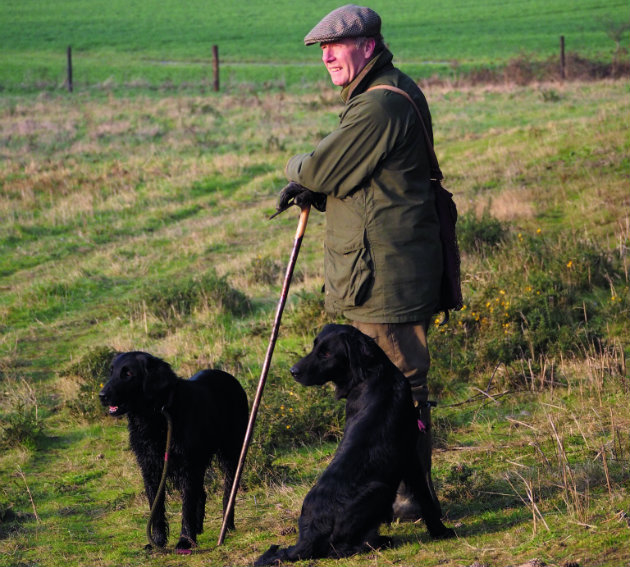 man with flat coat retriever 