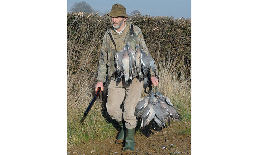 Pigeon shooting