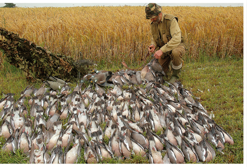 pigeon shooting final bag