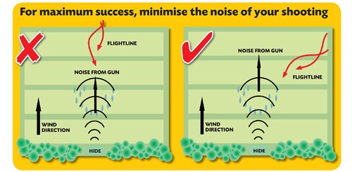 pigeon shooting flight lines
