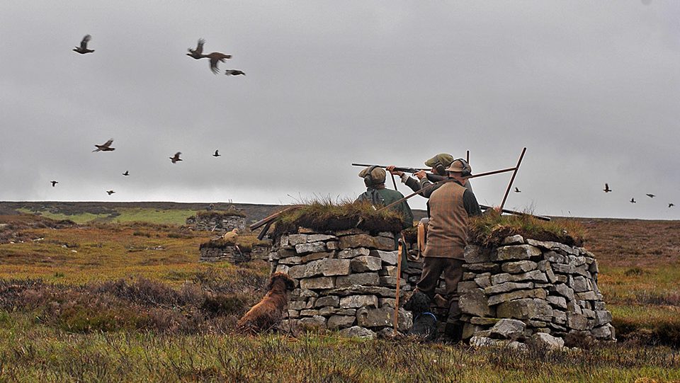 Grouse Beatkeeper &#8211; Bolton Abbey Estate