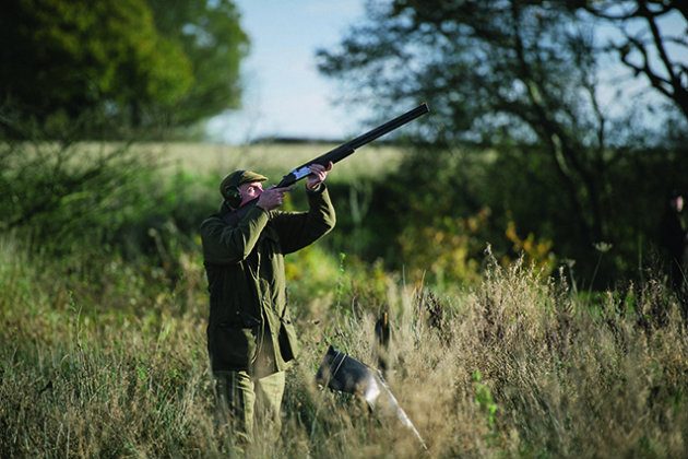 shotguns for under £1000