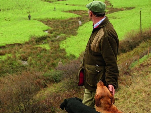 gundogs with trainer