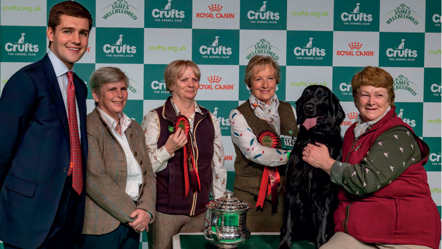 Fine showcase on a global canine stage 