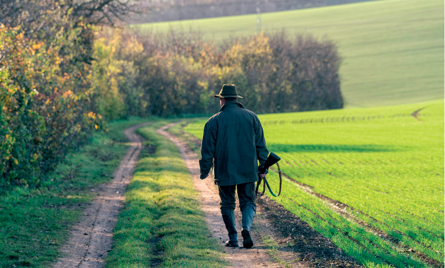 Labour urged to ‘reset’ with the countryside 