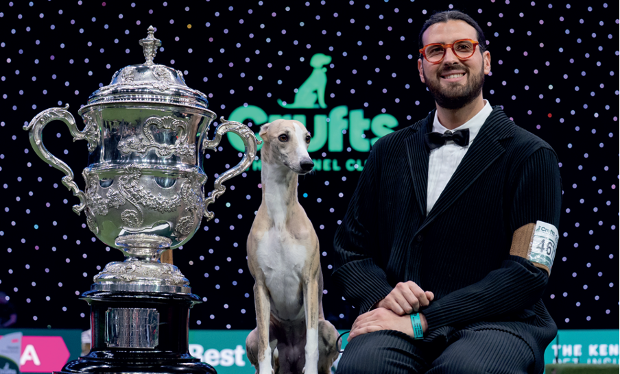 Flatcoat wins gundog title as whippet reigns 