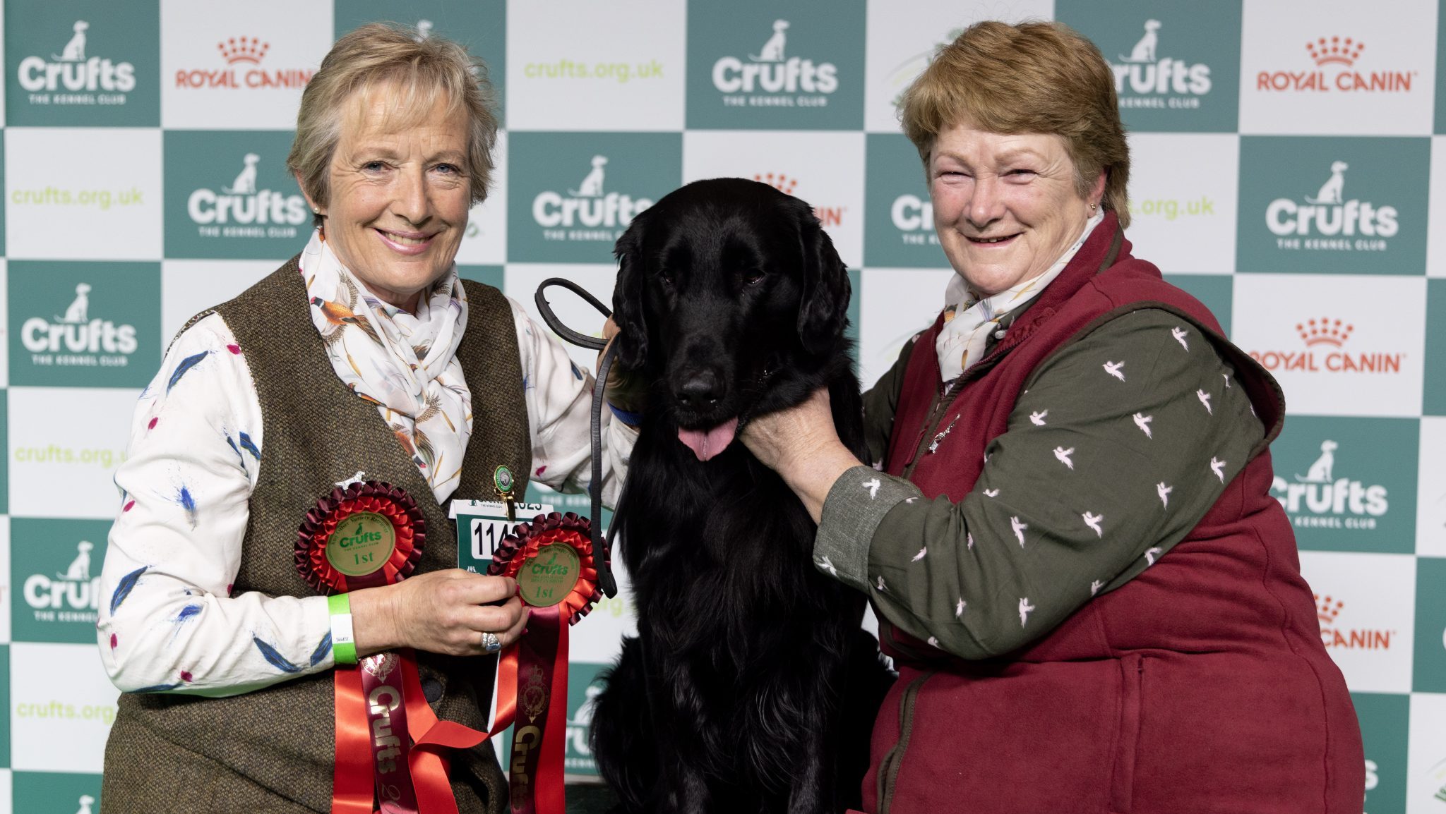 Dark Angel crowned Crufts gamekeeping winner - Shooting UK