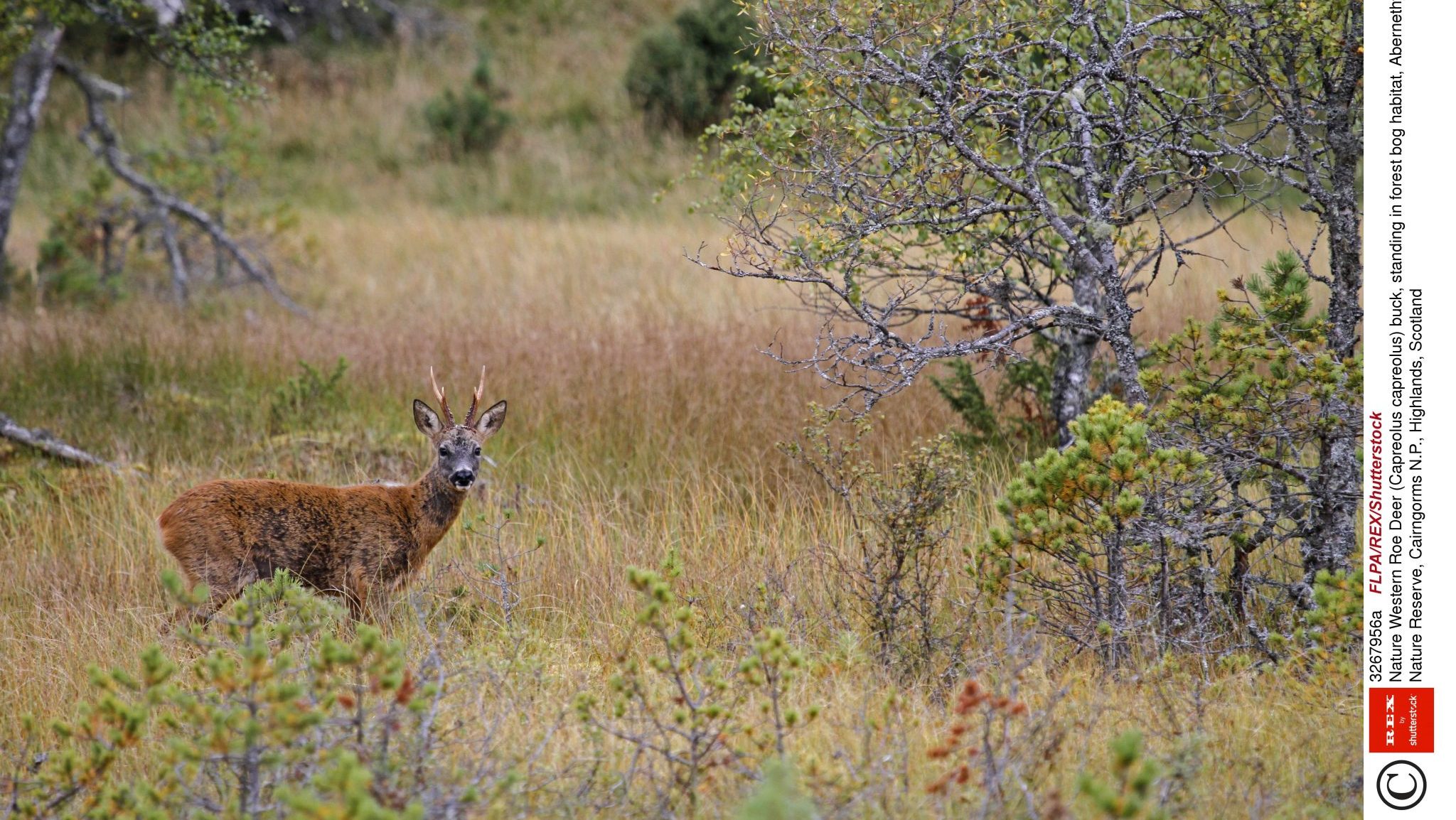 Controversial nature bill  “must be fixed”