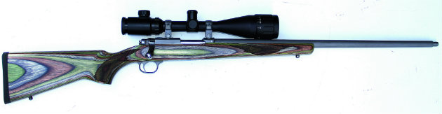 Ruger M77/17 Hornet