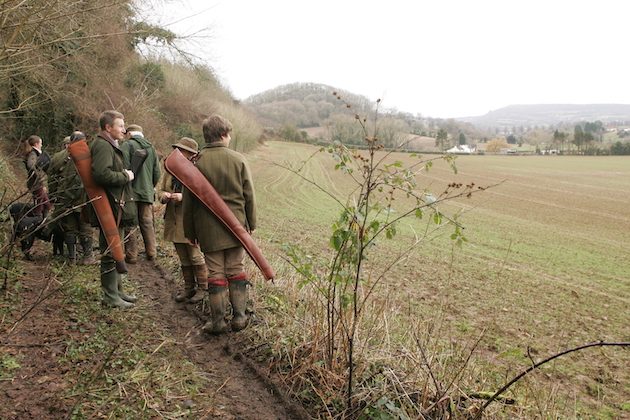 people on a pheasant shoot