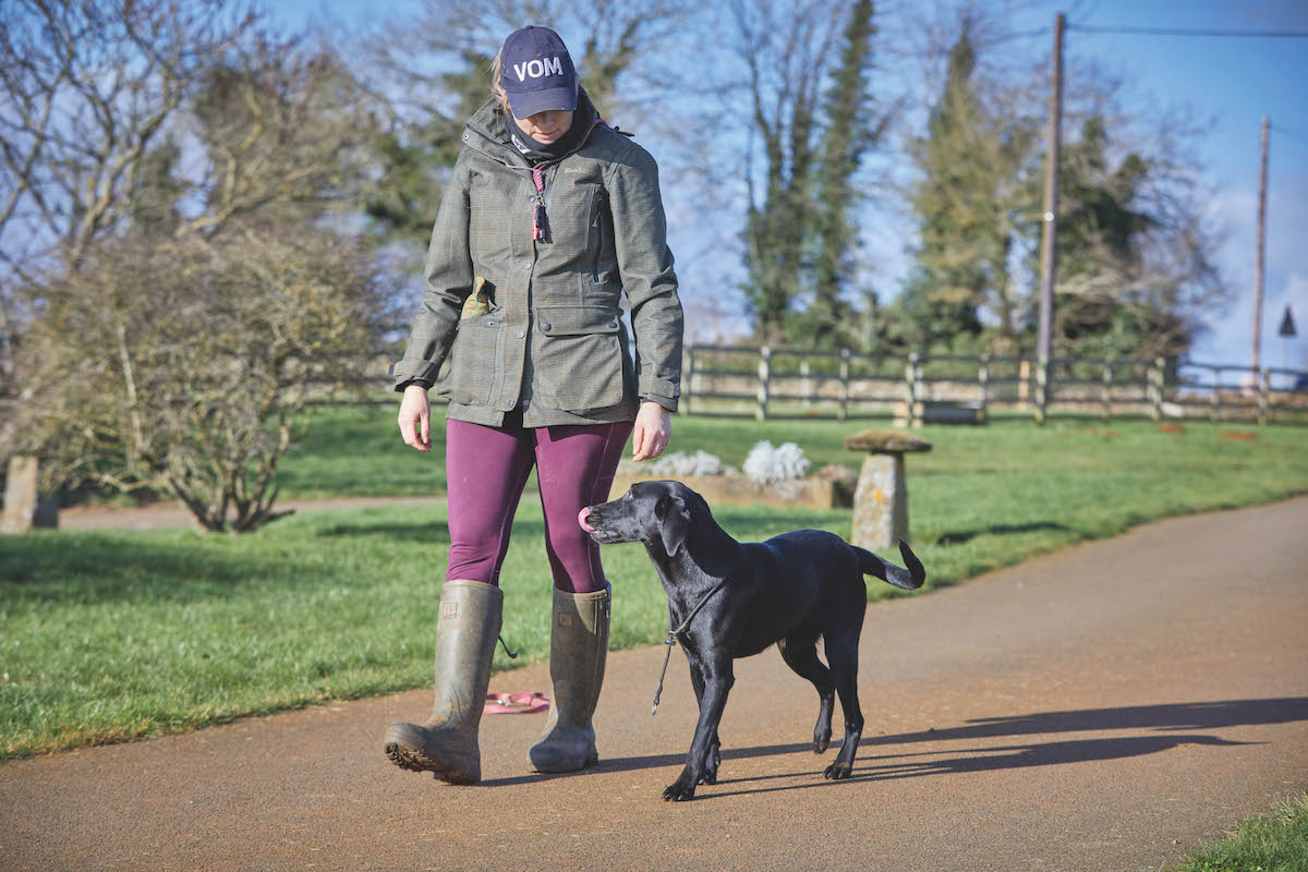 Gundog handling kit: what is essential and what can you do without?